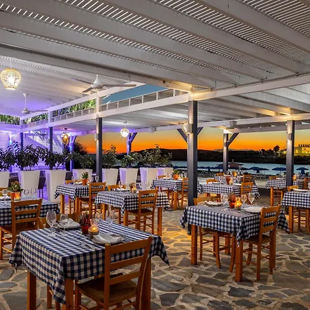 The Healthy Stay-padel, Pool&fitness Otel Aya Napa